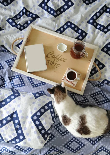 Desayuno en la cama. El libro, una jarra y una taza de café en una bandeja de madera hecha a mano. Gato blanco sobre lino azul — Foto de Stock