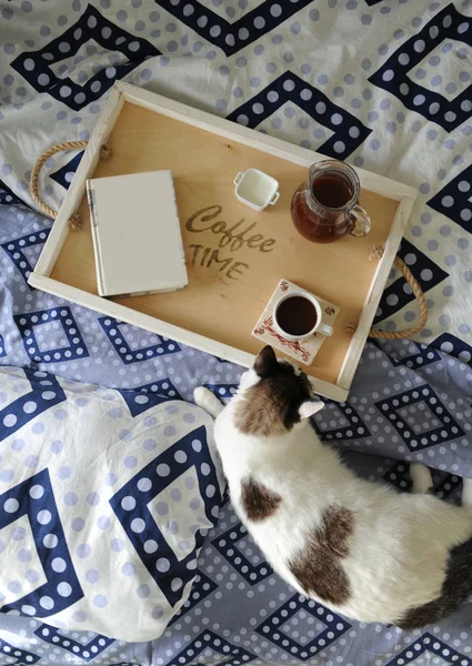 Frukost på sängen. Boken, en kanna och en kopp kaffe på en träbricka som är handgjorda. Vit katt på blå linne — Stockfoto