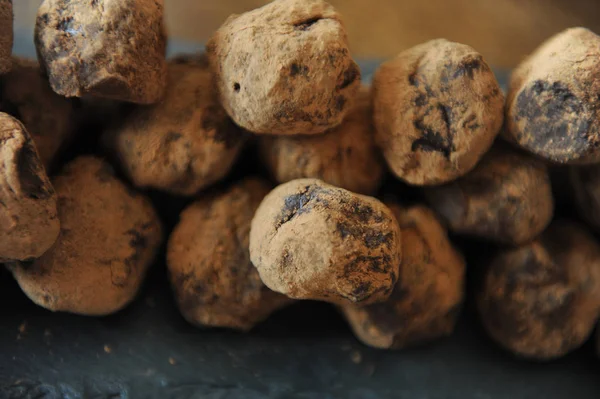 Çikolata truffles kakao serpilir. Ahşap arka plan kayrak tahtada. Yakın çekim, doku