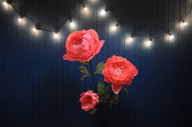 İç retro garland ile mavi duvar arka plan üzerinde Huge Büyüme pembe çiçekler