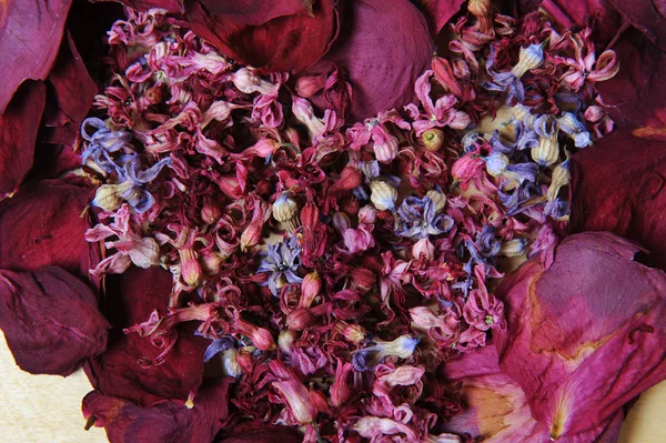 Bloem textuur van gedroogde bloemen — Stockfoto