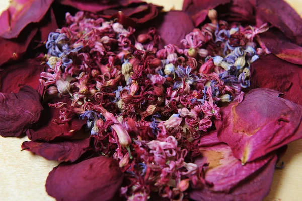 Λουλούδι υφή των αποξηραμένα λουλούδια — Φωτογραφία Αρχείου