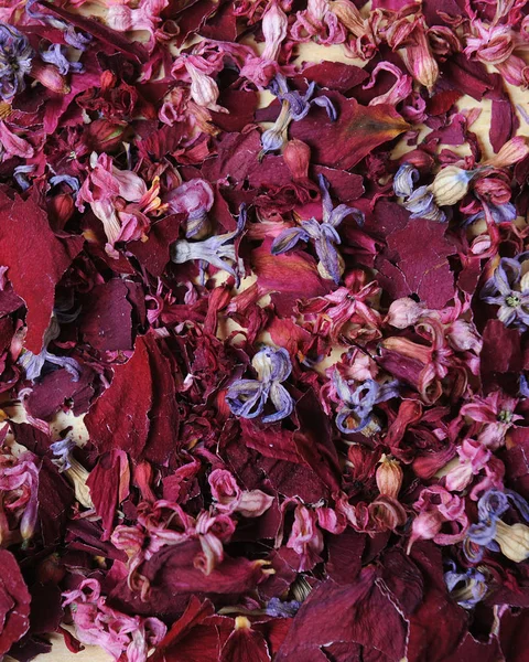 Bloem textuur van gedroogde bloemen — Stockfoto