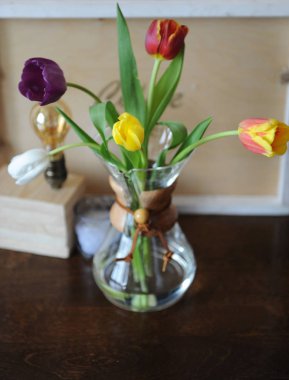 Çiçek Lale vazo gibi kahve bira için bir cam kap içinde.