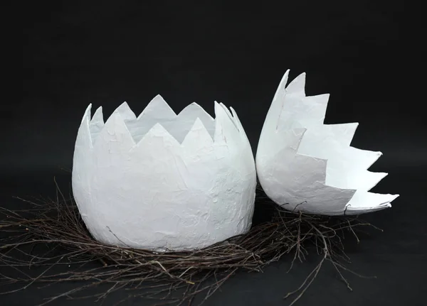 Obrovské papier hmota vejce v hnízdě poboček je odkrytý ve dvou částech na černém pozadí — Stock fotografie