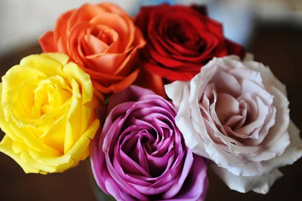 Fond floral. Texture de roses multicolores gros plan — Photo