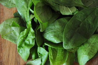 Taze ıspanak Yeşiller yakın çekim