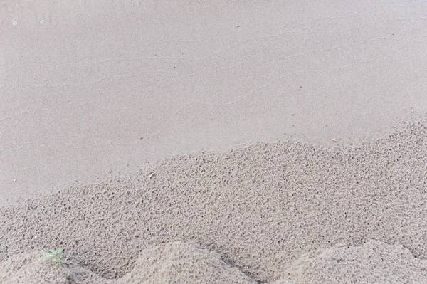 Textura pobřežních mokrý písek — Stock fotografie