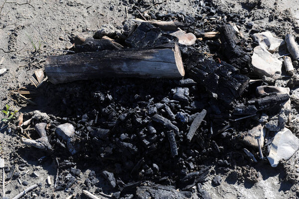 Остатки костра, обугленное дерево
