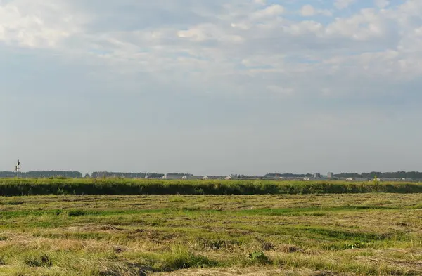 Yaz peyzaj alanı. Mavi bulutlar gökyüzünde.