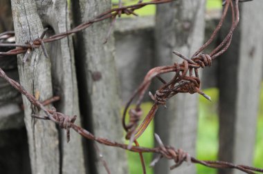 Ahşap bir çit dikenli tel. Yakın çekim yaz yeşil arka plan