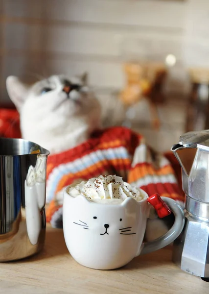 White blue-eyed cat dressed in orange striped sweater. Coffee with whipped cream in cup in the form of cat in foreground
