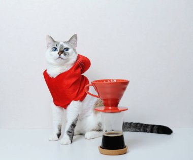 Beyaz arka planda kırmızı Noel kapüşonlu şirin bir kedi. Damlatıcının üstüne dök. Kahve demleniyor. Boş alan, izole edilmiş