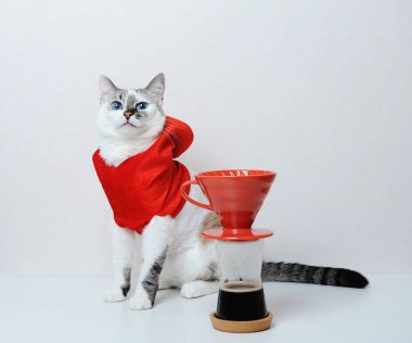 Cute cat in red Christmas hoodie on a white background. With pour over dripper. Coffee brewing. Free space, isolated clipart