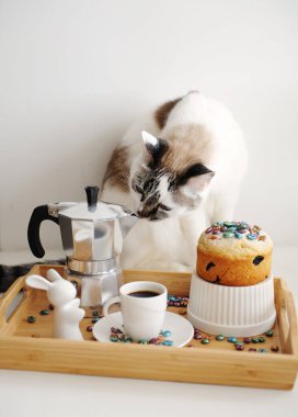 Şirin kedi ve Paskalya, kahve ve pastayla dolu. Tahta bambu tepside servis ediliyor. Espresso üreticisi Moka pot. Beyaz tabaklar, seramik paskalya tavşanı.