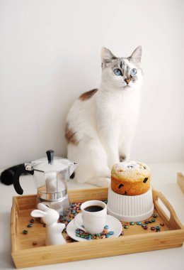 Şirin kedi ve Paskalya, kahve ve pastayla dolu. Tahta bambu tepside servis ediliyor. Espresso üreticisi Moka pot. Beyaz tabaklar, seramik paskalya tavşanı.