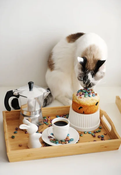 Söt Katt Och Påsk Stilleben Med Kaffe Och Tårta Serveras — Stockfoto