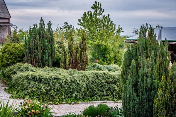 Paisaje verde jardín — Foto de Stock