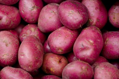 Kırmızı ham tatlı patates.