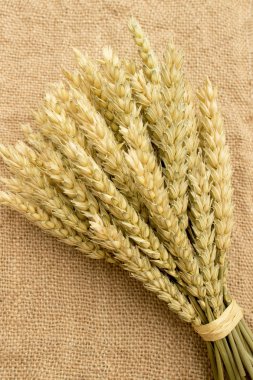 Kulakları buğday olduğunu buket.