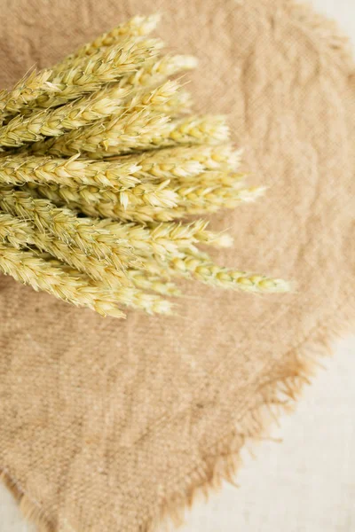 V kytici je uši pšenice. — Stock fotografie