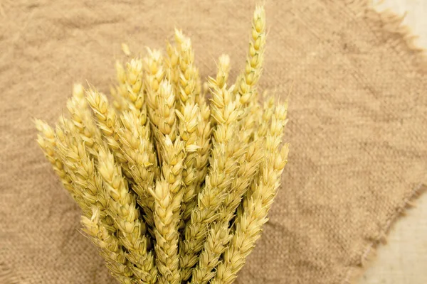 V kytici je uši pšenice. — Stock fotografie