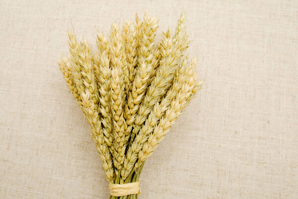 Уши пшеницы в букете
.