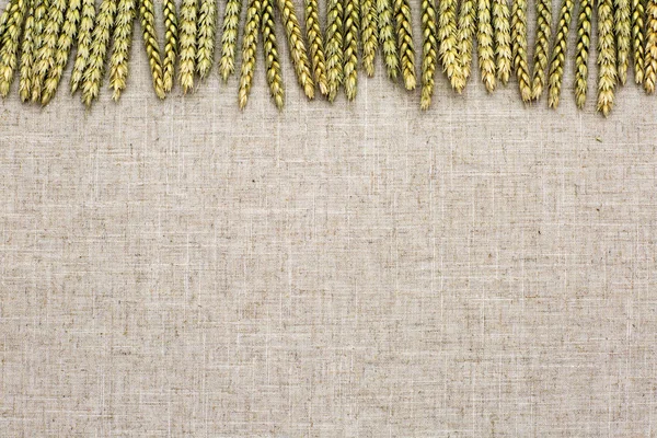 自然な背景、小麦やリネンの織物. — ストック写真