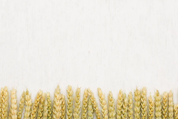 Naturlig bakgrund, vete och linnetyg. — Stockfoto