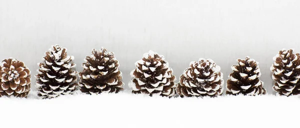 Christmas light background has cones. — Stock Photo, Image