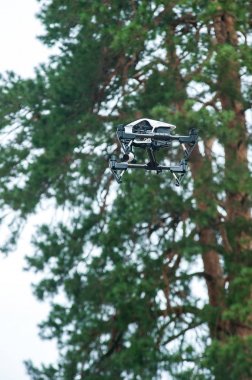 Drone ormanda uçar. Seçici odak