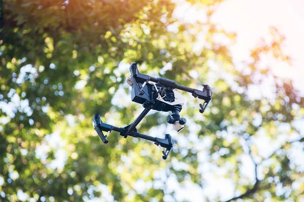 Drone vuela en el bosque —  Fotos de Stock