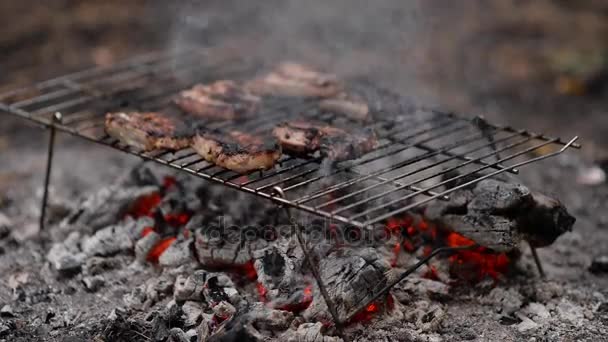 Steaks op barbecue grill — Stockvideo