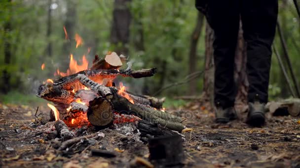 Ormanda şenlik ateşi — Stok video