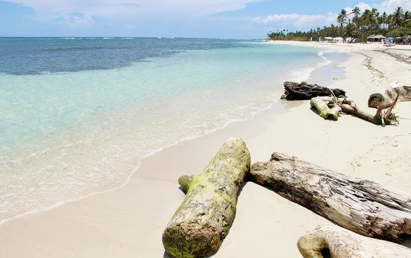 Costa Caribe República Dominicana —  Fotos de Stock