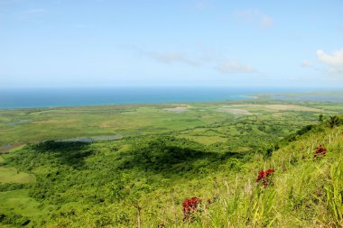 tepelerde nefes kesen sahne