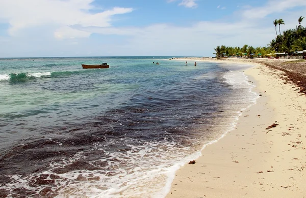 Costa Caribe República Dominicana —  Fotos de Stock
