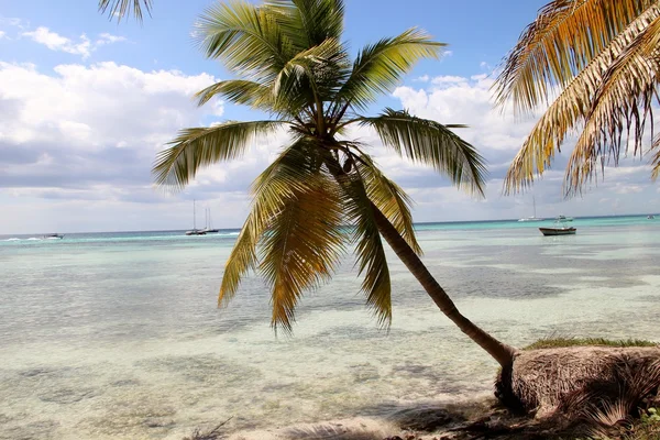 Mar Caribe República Dominicana — Foto de Stock
