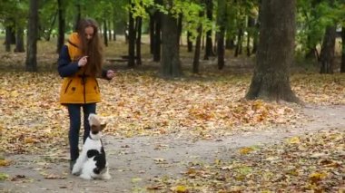 Parkta bir köpek ile oynarken uzun sarı saçlı genç kız