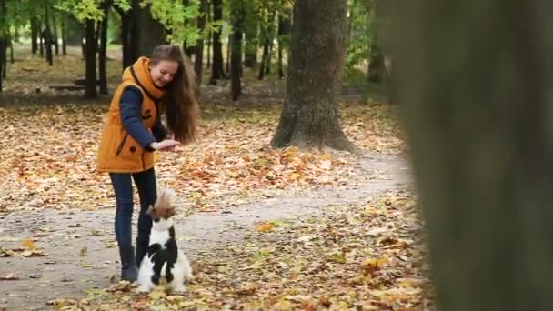 Meisje in jas, speelt met een hond op een achtergrond van groene bomen. — Stockvideo