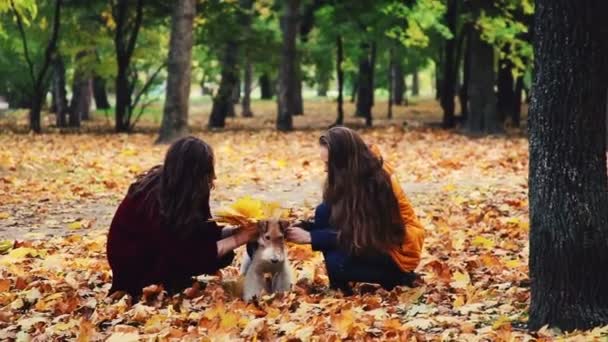 Due sorelle vestite volpe terrier cane in fogliame giallo . — Video Stock