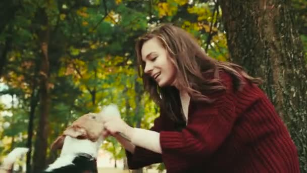 Fille dans le parc d'automne jouer avec le chien renard terrier 