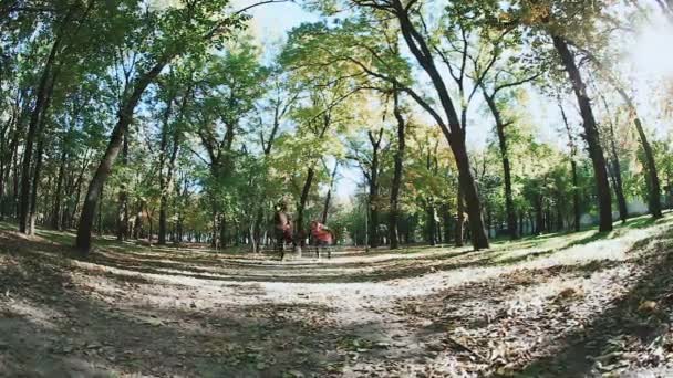 Jogging nella foresta autunnale. Due giovani ragazze e un cane fox terrier . — Video Stock