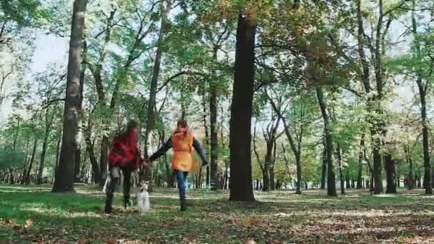 Zwei junge Frauen, die Hand in Hand laufen, und Hund Fox Terrier. Joggen im Herbstwald. Fallende Blätter, Bäume, Wege. — Stockvideo