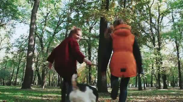 Joggen im Herbstwald. Fallendes Laub, Bäume, Wege. Mädchen geben Befehle Fox Terrier. — Stockvideo