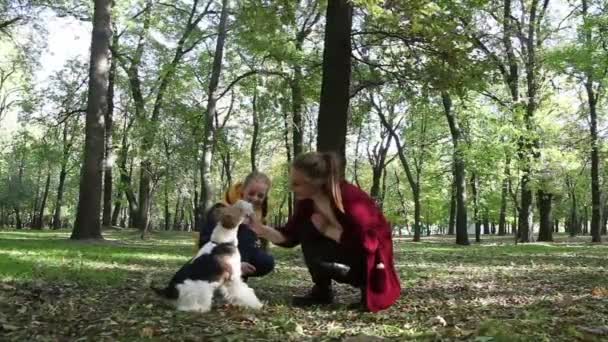 I parken bland träden, flickorna får lära sig att ge en hund tass. — Stockvideo