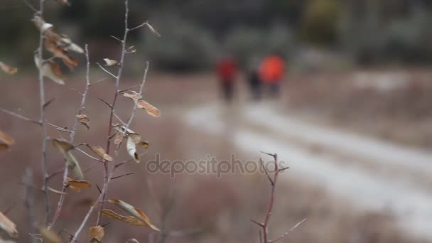 Молода сім'я у відпустці. Прогулянка лісом . — стокове відео