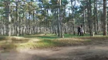 Bir kız ve bir erkek ormandaki çam ağaçları arasında yürüyor. Uçan bir dron tarafından.