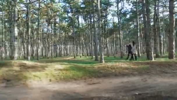 Девочка и мальчик гуляют среди сосен в лесу. Летающий дрон . — стоковое видео