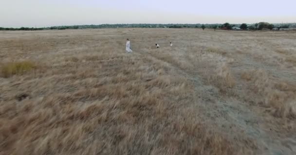 Moeder en kinderen op zomer veld. Moeder speelt met de kinderen. Moeder, zoon en dochter met uitstekende vakantiedagen. Games, veld, familieweekend - een concept gericht op het gezin. Luchtfoto — Stockvideo